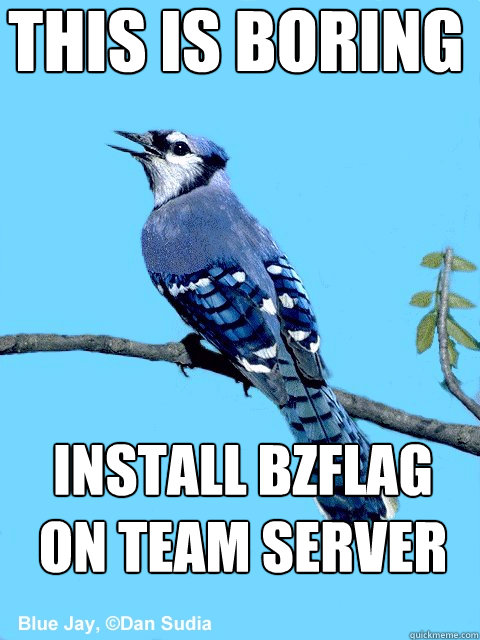 setting up server bzflag
