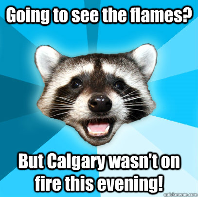 Going to see the flames? But Calgary wasn't on fire this evening! - Going to see the flames? But Calgary wasn't on fire this evening!  Lame Pun Coon