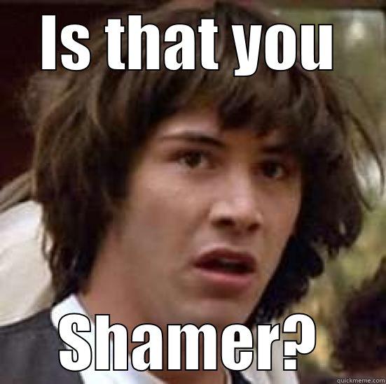 Is that you? - IS THAT YOU SHAMER? conspiracy keanu