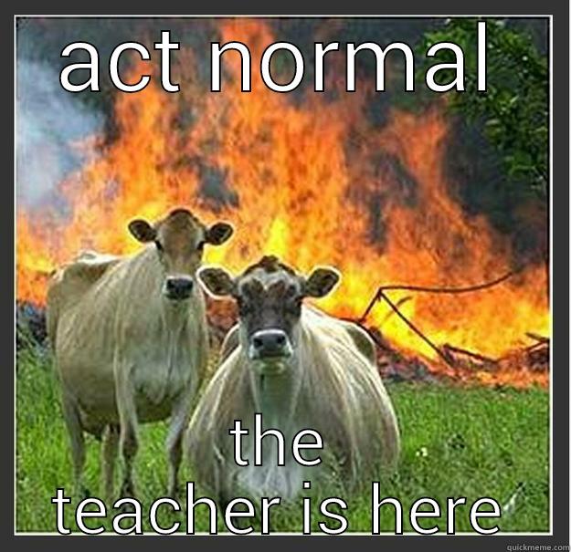 teacher inbound - ACT NORMAL THE TEACHER IS HERE Evil cows