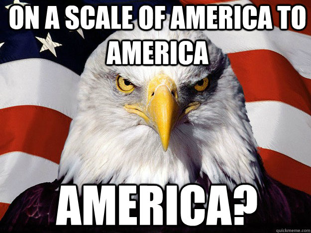 on a scale of america to america america?  Patriotic Eagle