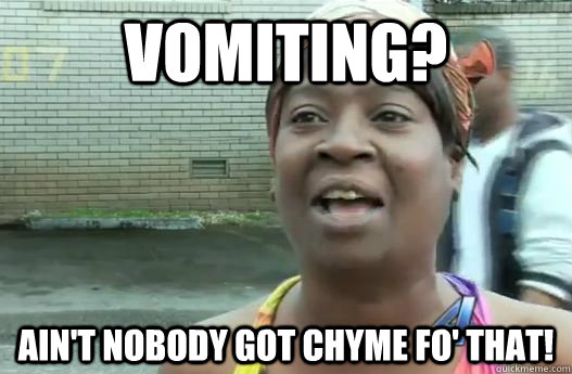 Vomiting? Ain't nobody got chyme fo' that! - Vomiting? Ain't nobody got chyme fo' that!  Sweet Brown