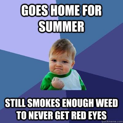 Goes home for Summer Still Smokes enough weed to never get red eyes  Success Kid