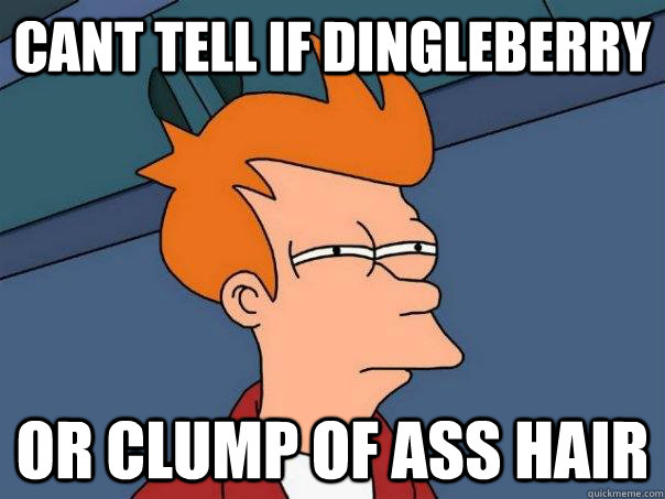 cant tell if dingleberry or clump of ass hair  Futurama Fry