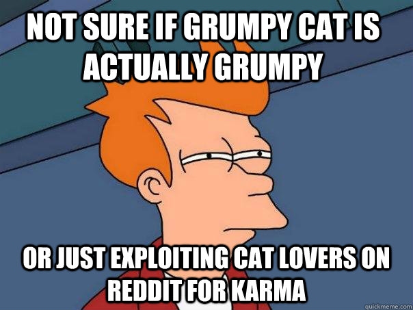 Not sure if grumpy cat is actually grumpy Or just exploiting cat lovers on Reddit for karma - Not sure if grumpy cat is actually grumpy Or just exploiting cat lovers on Reddit for karma  Futurama Fry