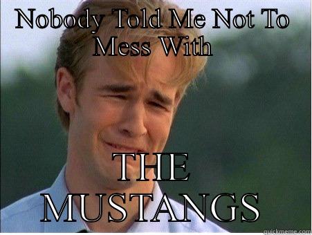 NOBODY TOLD ME NOT TO MESS WITH THE MUSTANGS 1990s Problems