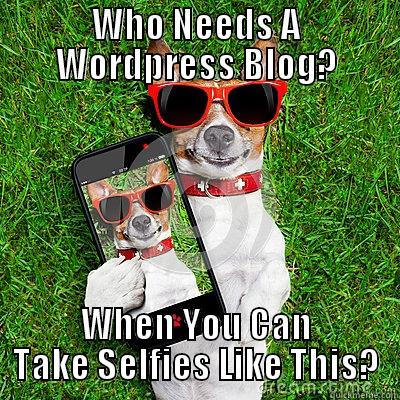 WHO NEEDS A WORDPRESS BLOG? WHEN YOU CAN TAKE SELFIES LIKE THIS? Misc