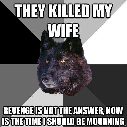 they killed my wife  revenge is not the answer, now is the time i should be mourning  Sanity Wolf