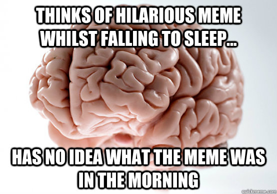 THINKS OF HILARIOUS MEME WHILST FALLING TO SLEEP... HAS NO IDEA WHAT THE MEME WAS IN THE MORNING  Scumbag Brain