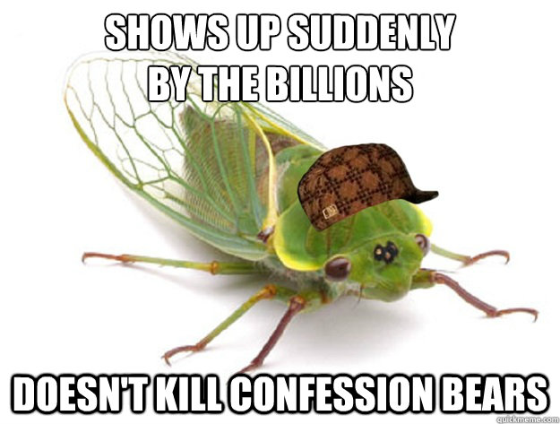 Shows up suddenly
by the billions doesn't kill confession bears  Scumbag Cicada