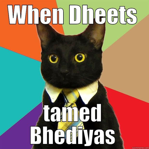 Bhayengar Bhediyas? - WHEN DHEETS TAMED BHEDIYAS Business Cat