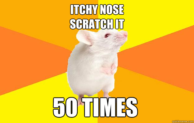 itchy nose
scratch it 50 times - itchy nose
scratch it 50 times  OCD Mouse