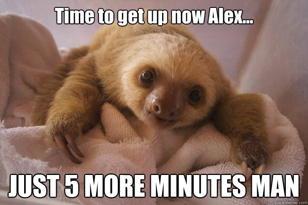 Time to get up now Alex... JUST 5 MORE MINUTES MAN - Time to get up now Alex... JUST 5 MORE MINUTES MAN  Alex Smith Sloth