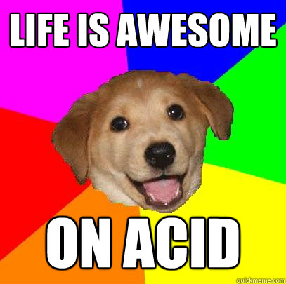 life is awesome on acid  Advice Dog