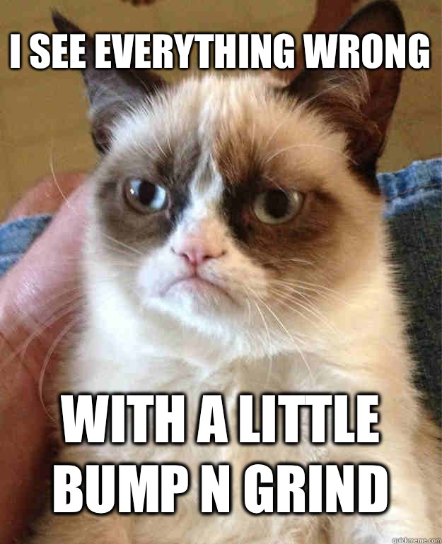 I see everything wrong With a little bump n grind  Grumpy Cat