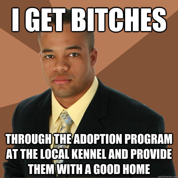 I get bitches through the adoption program at the local kennel and provide them with a good home  Successful Black Man