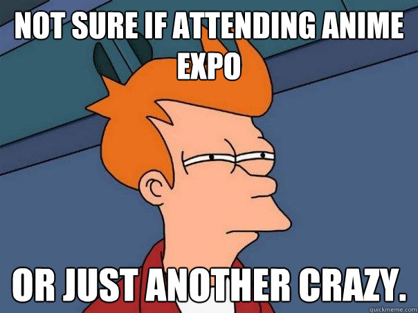 not sure if attending anime expo or just another crazy.  Futurama Fry