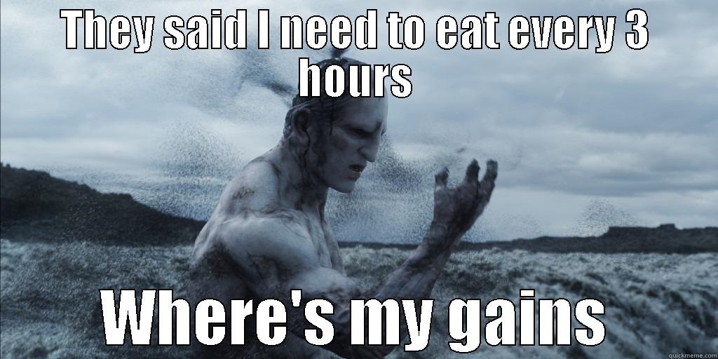 No Gains - THEY SAID I NEED TO EAT EVERY 3 HOURS WHERE'S MY GAINS Misc