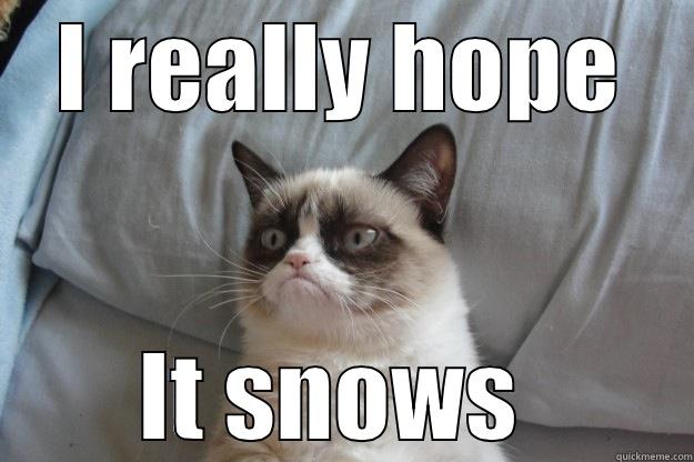 I REALLY HOPE IT SNOWS  Grumpy Cat