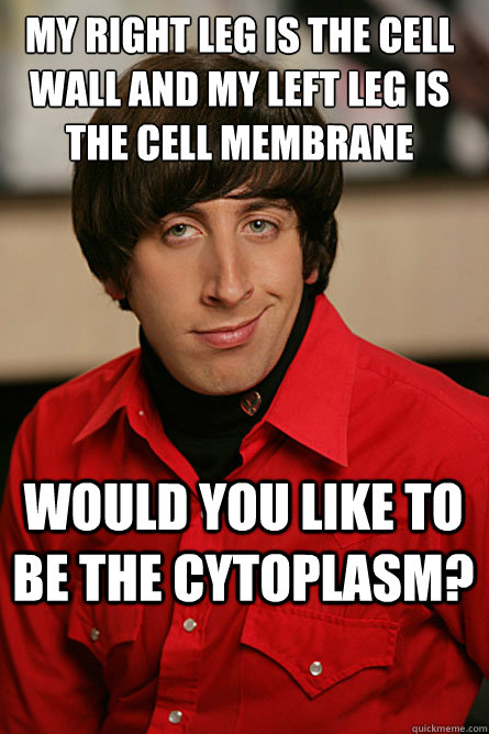 My right leg is the cell wall and my left leg is the cell membrane would you like to be the cytoplasm? - My right leg is the cell wall and my left leg is the cell membrane would you like to be the cytoplasm?  Pickup Line Scientist