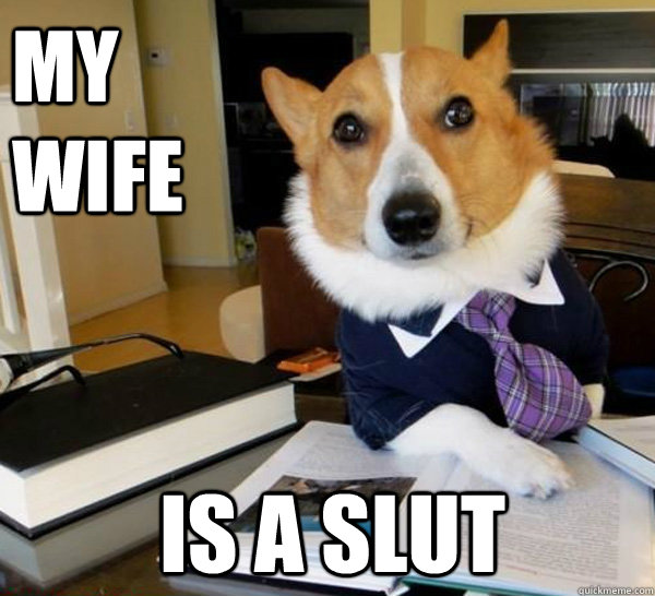 My wife is a slut  Lawyer Dog