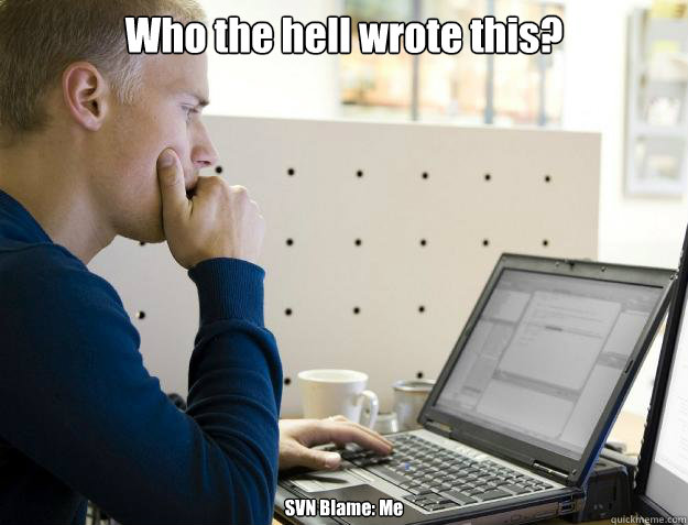 Who the hell wrote this? SVN Blame: Me - Who the hell wrote this? SVN Blame: Me  Programmer