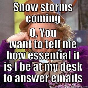 SNOW STORMS COMING O, YOU WANT TO TELL ME HOW ESSENTIAL IT IS I BE AT MY DESK TO ANSWER EMAILS Condescending Wonka