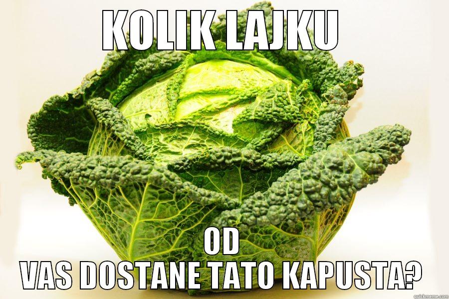 KOLIK LAJKU OD VAS DOSTANE TATO KAPUSTA? Misc