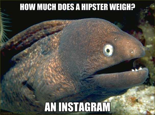 How much does a hipster weigh? An Instagram  Bad Joke Eel