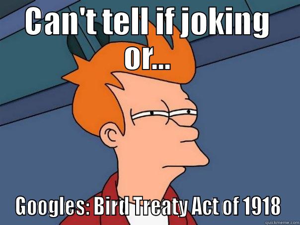 CAN'T TELL IF JOKING OR... GOOGLES: BIRD TREATY ACT OF 1918 Futurama Fry