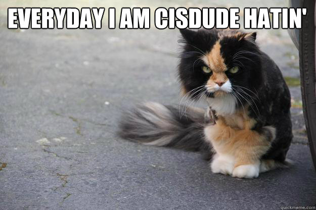 EVERYDAY I AM CISDUDE HATIN'
   Angry Cat