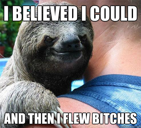 I believed i could And then i flew bitches  Suspiciously Evil Sloth