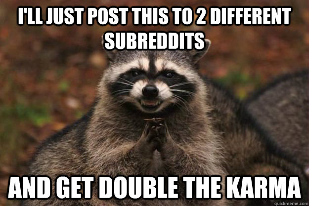 I'll just post this to 2 different subreddits and get double the karma  Evil Plotting Raccoon