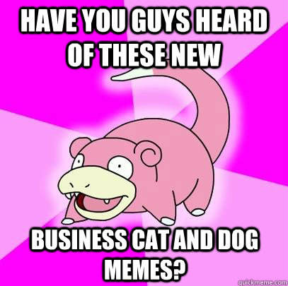 HAVE YOU GUYS HEARD OF THESE NEW  BUSINESS CAT AND DOG MEMES?  Slowpoke