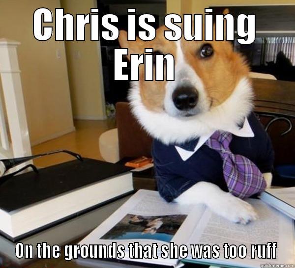 CHRIS IS SUING ERIN ON THE GROUNDS THAT SHE WAS TOO RUFF Lawyer Dog