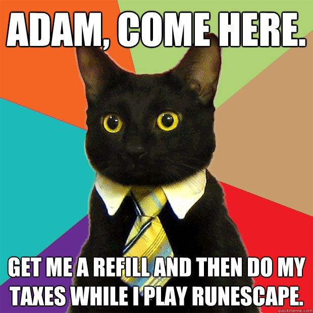 Adam, come here. Get me a refill and then do my taxes while i play runescape.  Business Cat