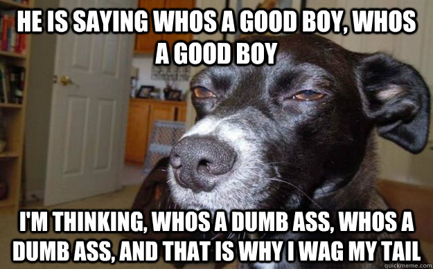 He is saying whos a good boy, Whos a good boy I'm thinking, Whos a dumb ass, whos a dumb ass, AND that is why I wag my tail  Skeptical Mutt