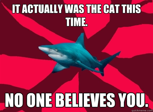 It actually was the cat this time. No one believes you.  Self-Injury Shark