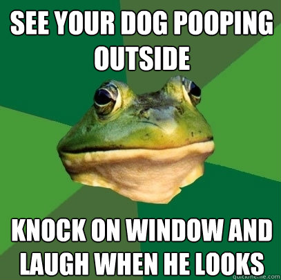 see your dog pooping outside knock on window and laugh when he looks - see your dog pooping outside knock on window and laugh when he looks  Foul Bachelor Frog