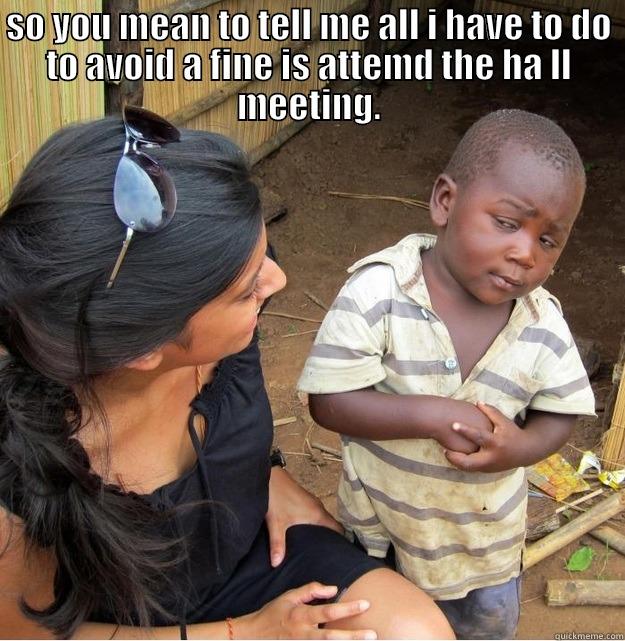 SO YOU MEAN TO TELL ME ALL I HAVE TO DO TO AVOID A FINE IS ATTEND THE HA LL MEETING.  Skeptical Third World Kid