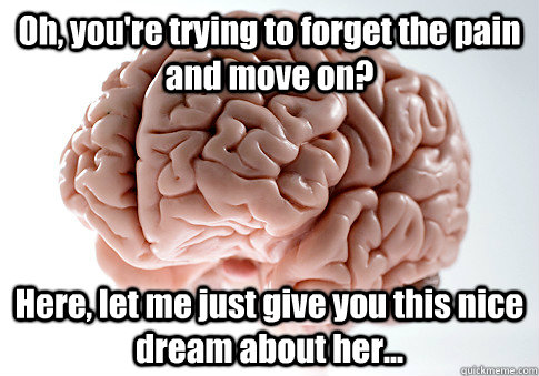 Oh, you're trying to forget the pain and move on? Here, let me just give you this nice dream about her...  Scumbag Brain