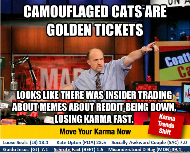 camouflaged cats are golden tickets looks like there was insider trading about memes about reddit being down, losing karma fast.  Jim Kramer with updated ticker