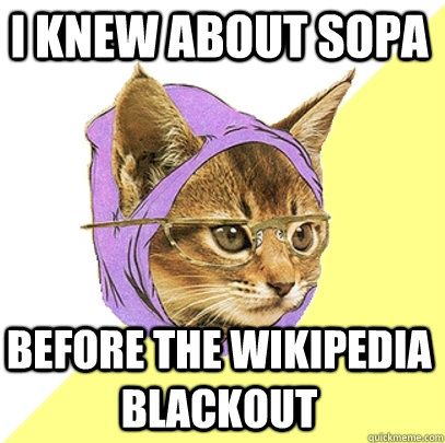 I Knew about sopa before the wikipedia blackout  Hipster Kitty