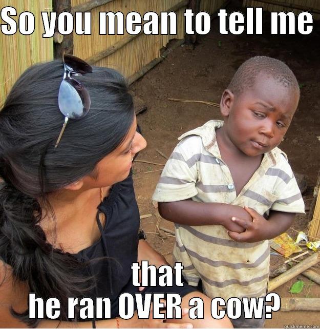 nik runs over cows  - SO YOU MEAN TO TELL ME  THAT HE RAN OVER A COW?  Skeptical Third World Kid