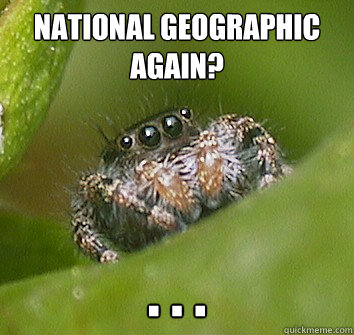 National Geographic again? . . .  - National Geographic again? . . .   Misunderstood Spider