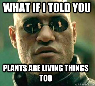 what if i told you Plants are living things too - what if i told you Plants are living things too  Matrix Morpheus