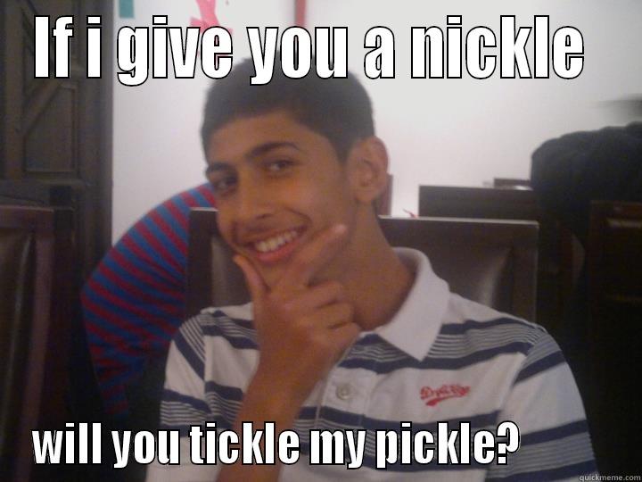 IF I GIVE YOU A NICKLE  WILL YOU TICKLE MY PICKLE?           Misc