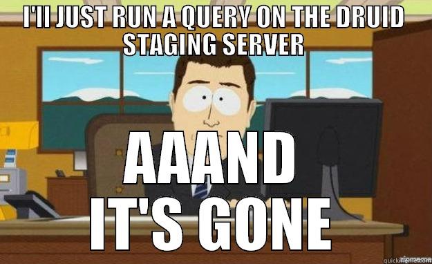 I'LL JUST RUN A QUERY ON THE DRUID STAGING SERVER AAAND IT'S GONE aaaand its gone