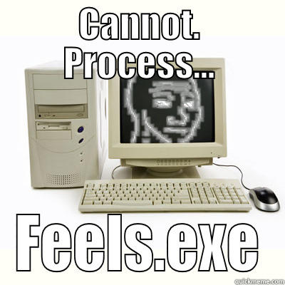 CANNOT. PROCESS... FEELS.EXE Misc