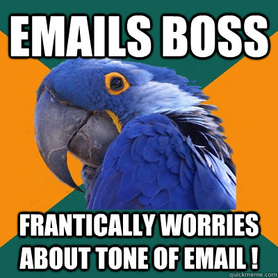 Emails Boss Frantically worries about tone of email ! - Emails Boss Frantically worries about tone of email !  Paranoid Parrot